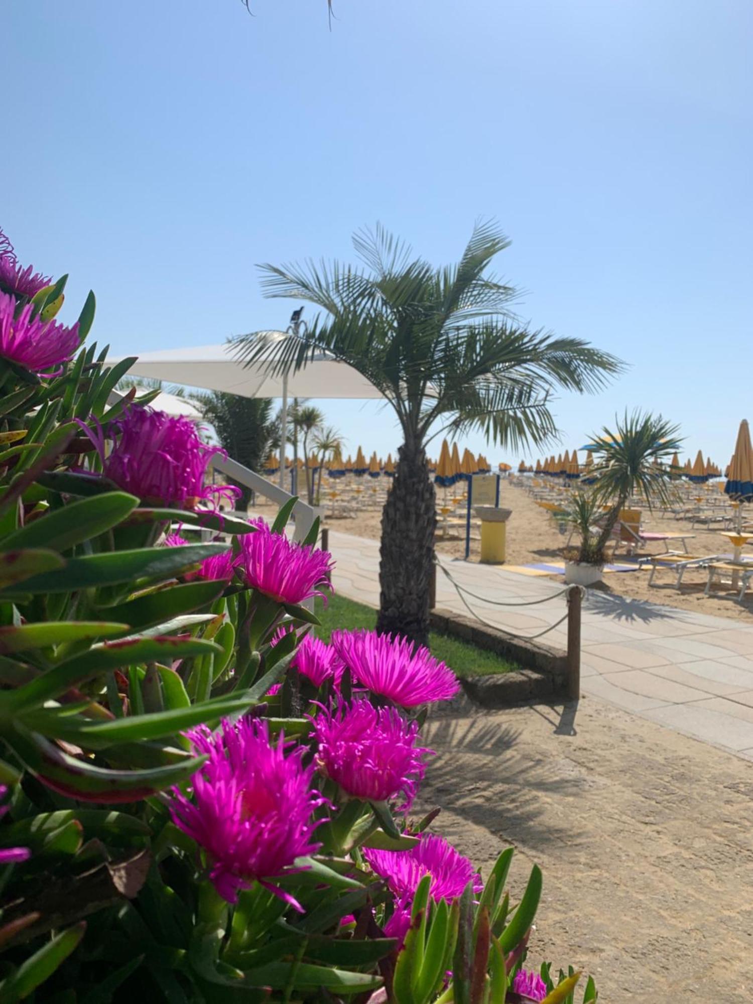 Nizza Frontemare Superior 3 Stelle Hotel 3*